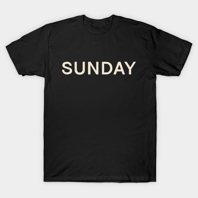 Sunday On This Day Perfect Day T-Shirt by TV Dinners